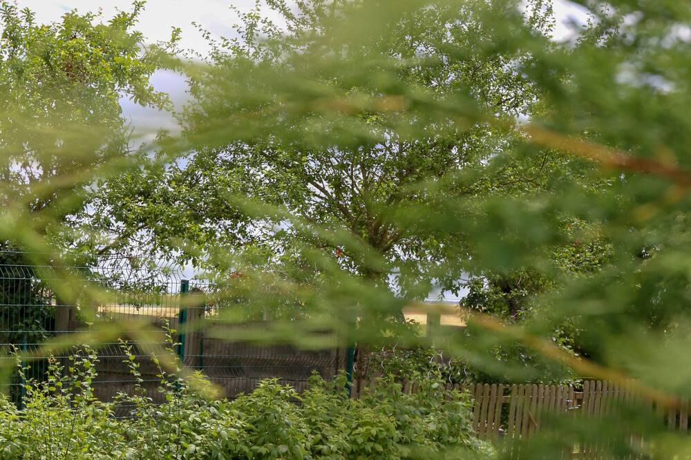 Photo of Outdoor in La Chapelle-Saint-Martin-en-Plaine