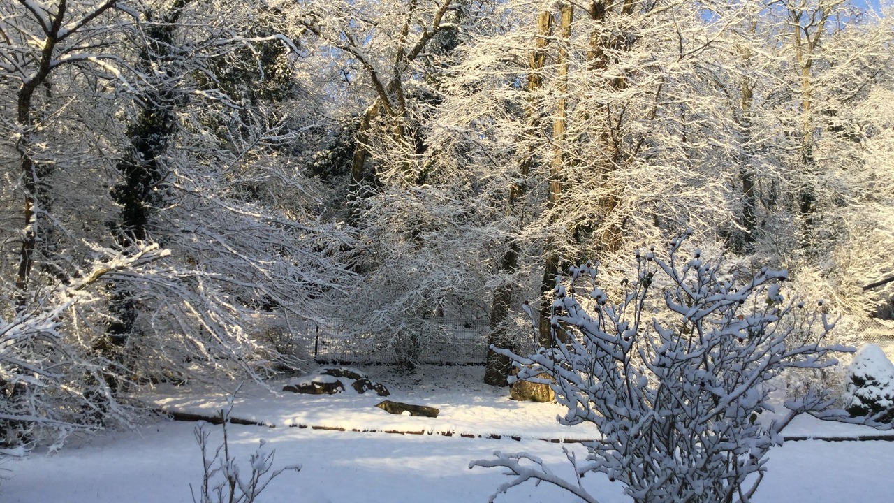 Photo of Outdoor in Maisse