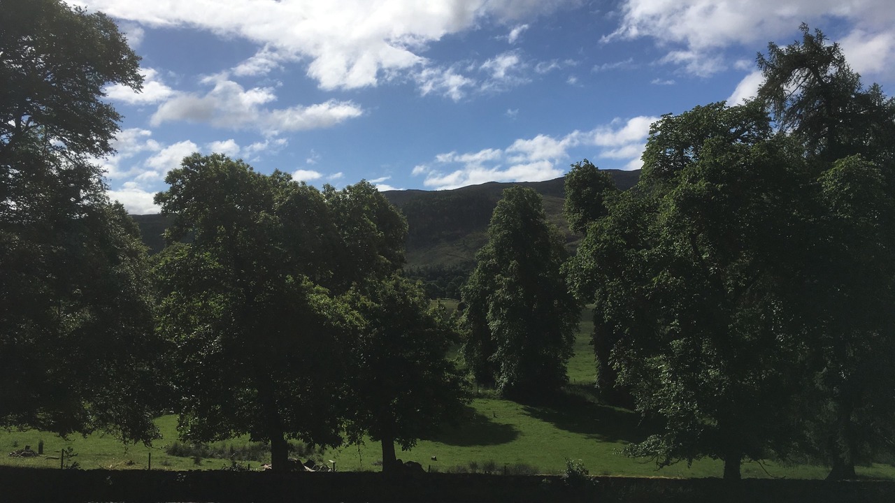 Photo of Others in Struy