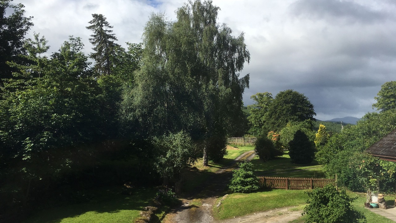 Photo of Others in Struy