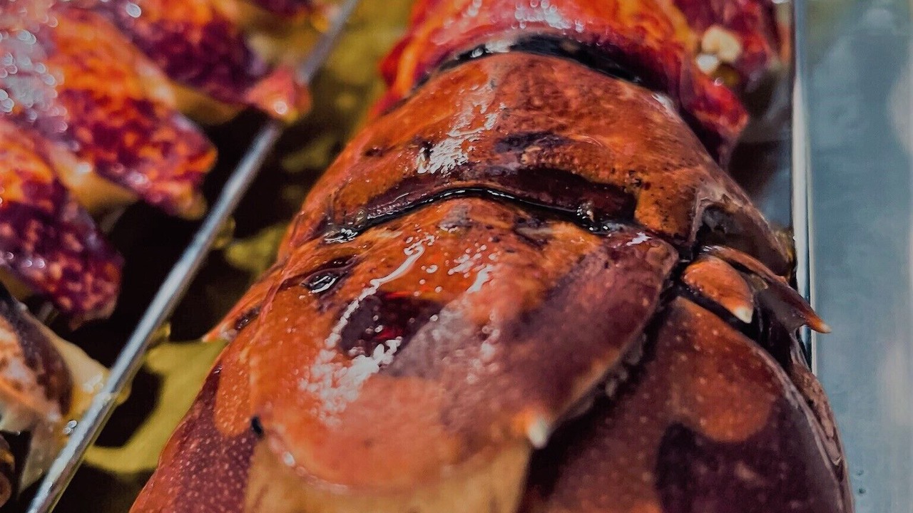 Photo of Others in Hasparren