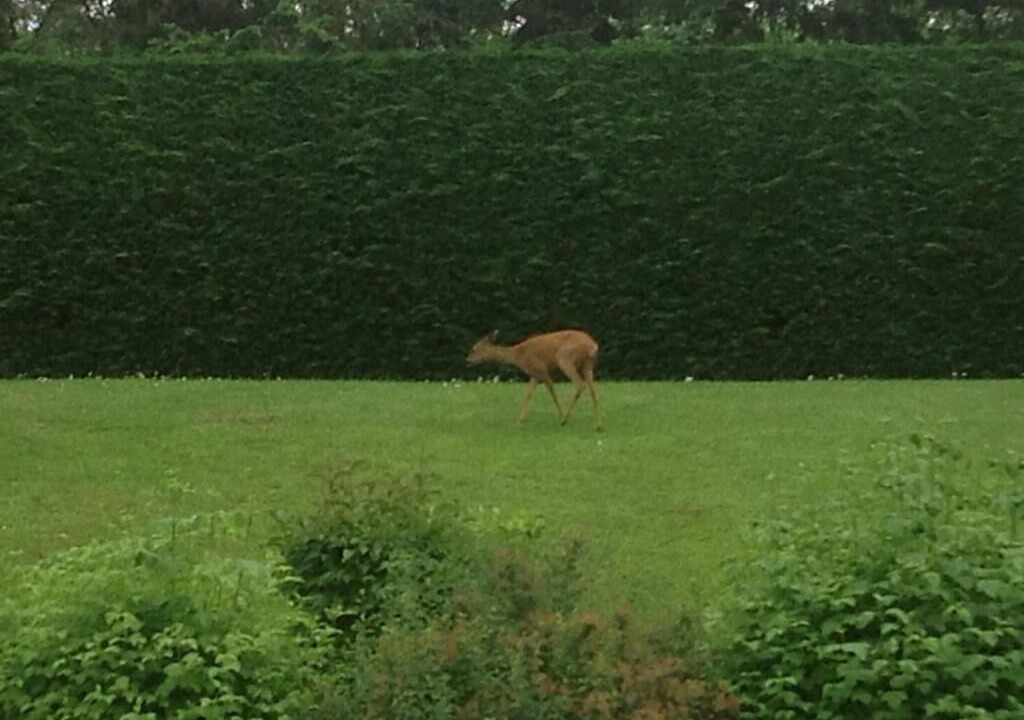 Photo of Others in LʼHorme