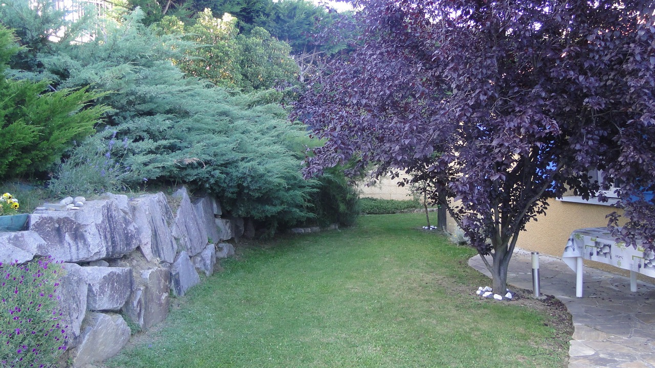 Photo of Outdoor in Unieux