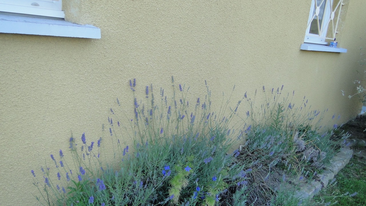 Photo of Outdoor in Unieux