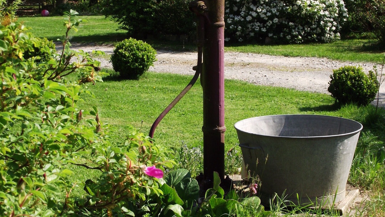 Photo of Outdoor in Olivet