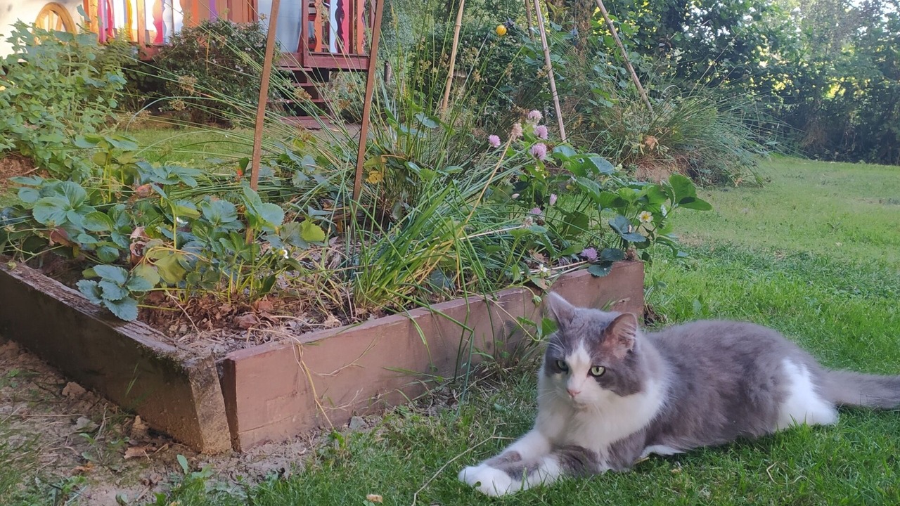 Photo of Outdoor in Olivet