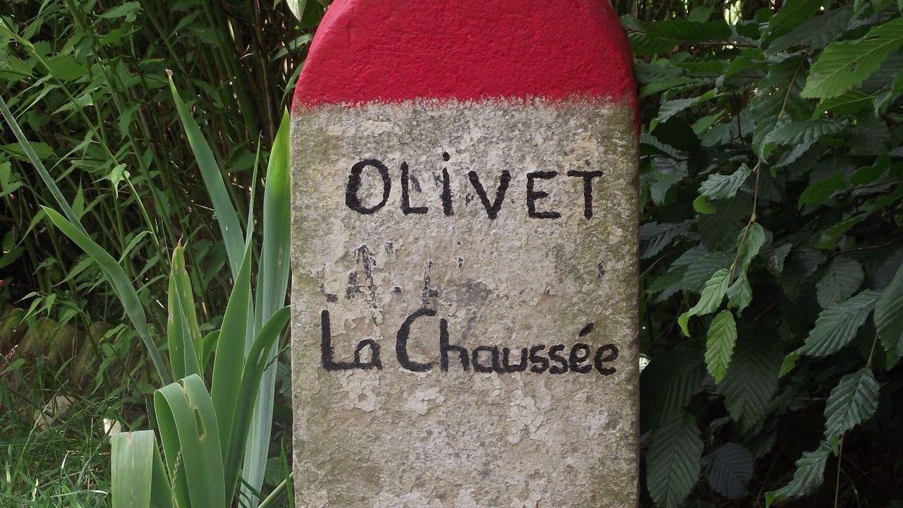 Photo of Outdoor in Olivet