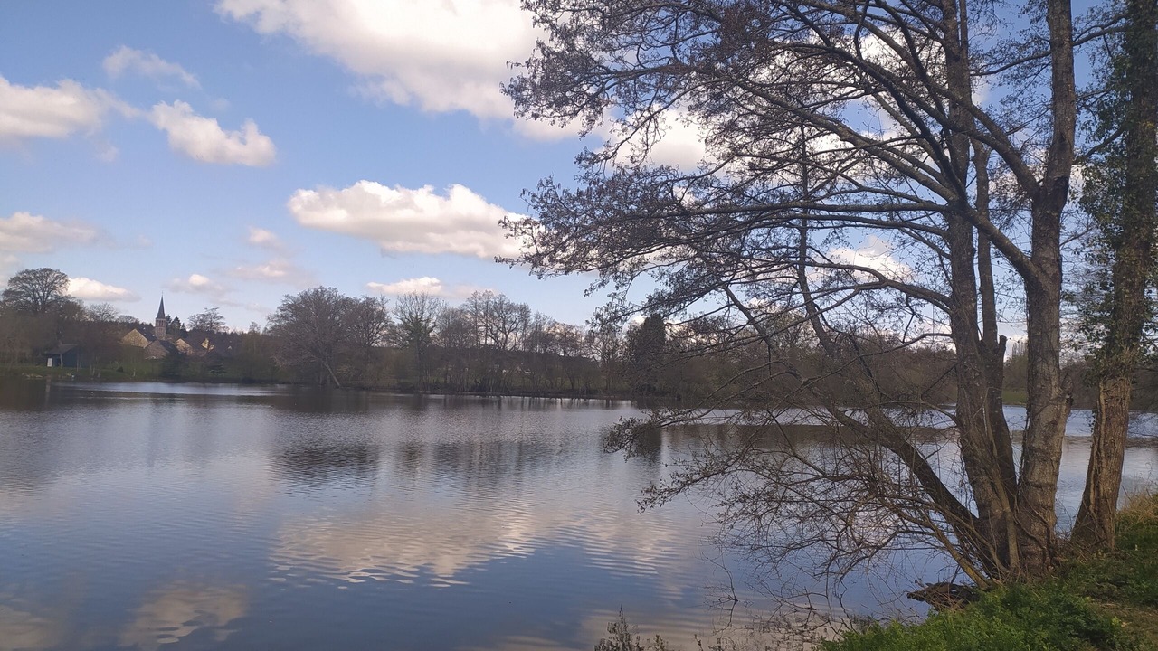 Photo of Others in Olivet