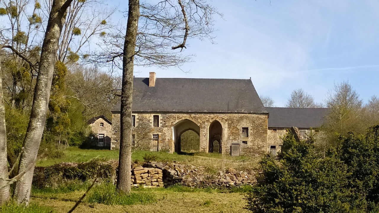 Photo of Others in Olivet