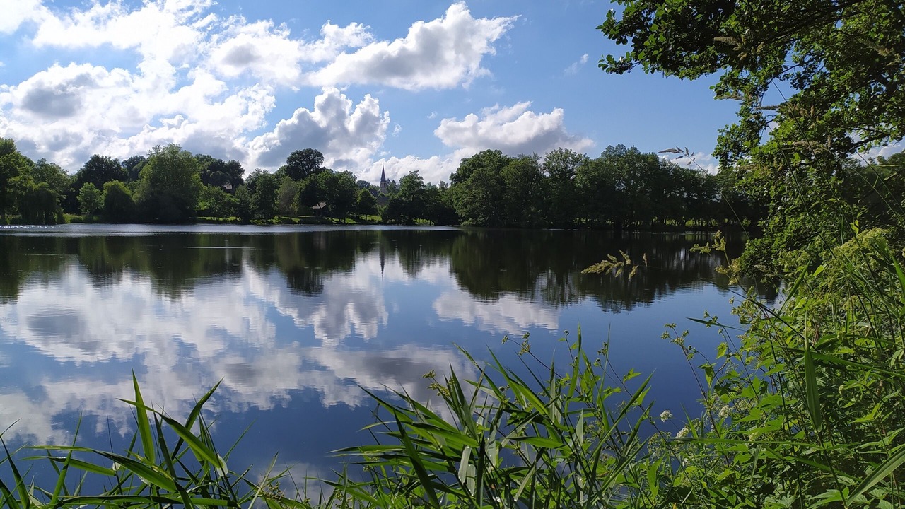 Photo of Outdoor in Olivet