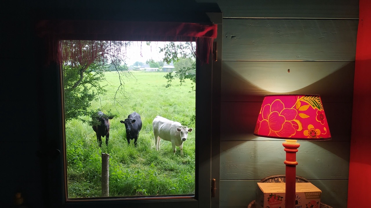 Photo of Outdoor in Olivet