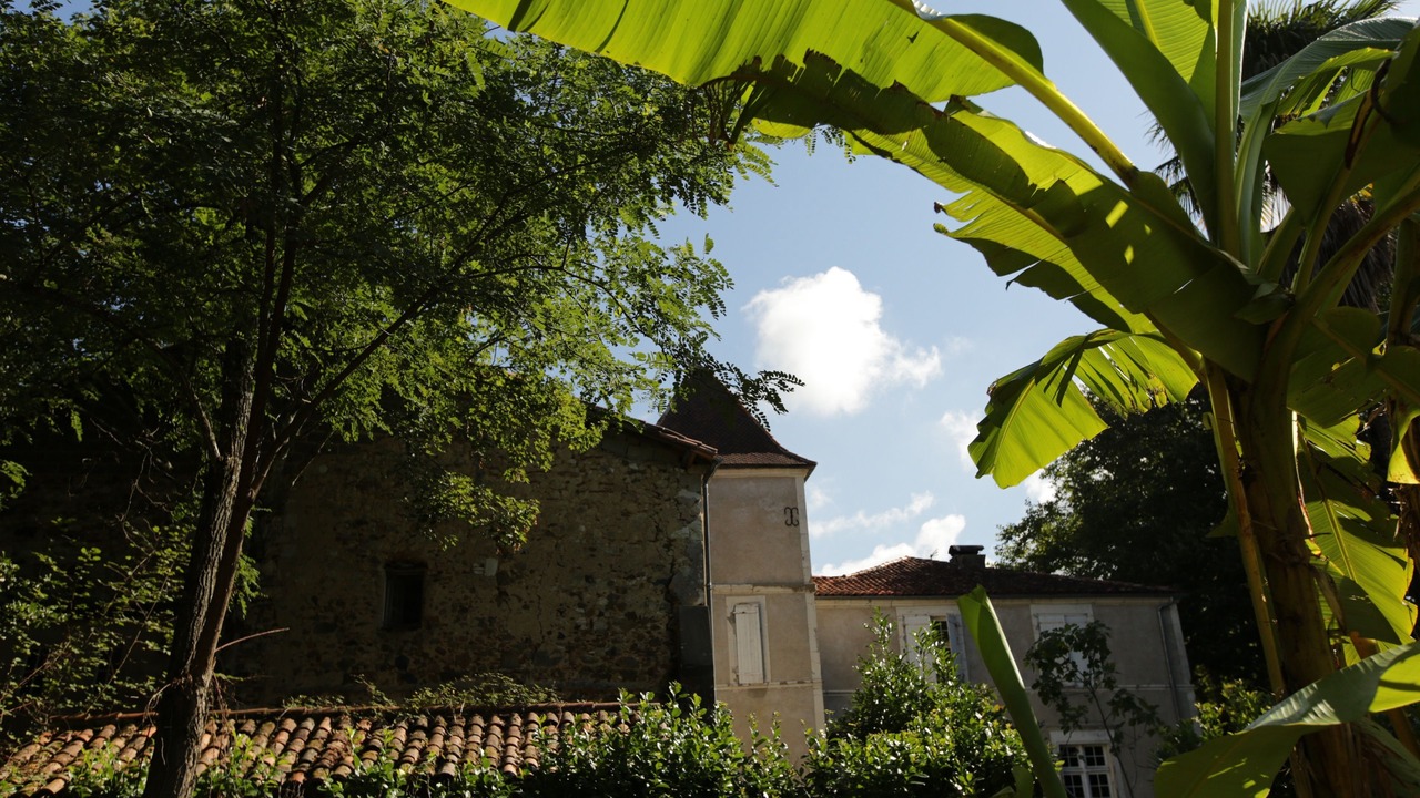 Photo of Outdoor in Pouillon
