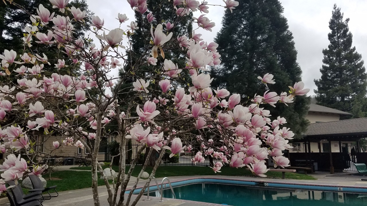 Photo of Outdoor in Grants Pass