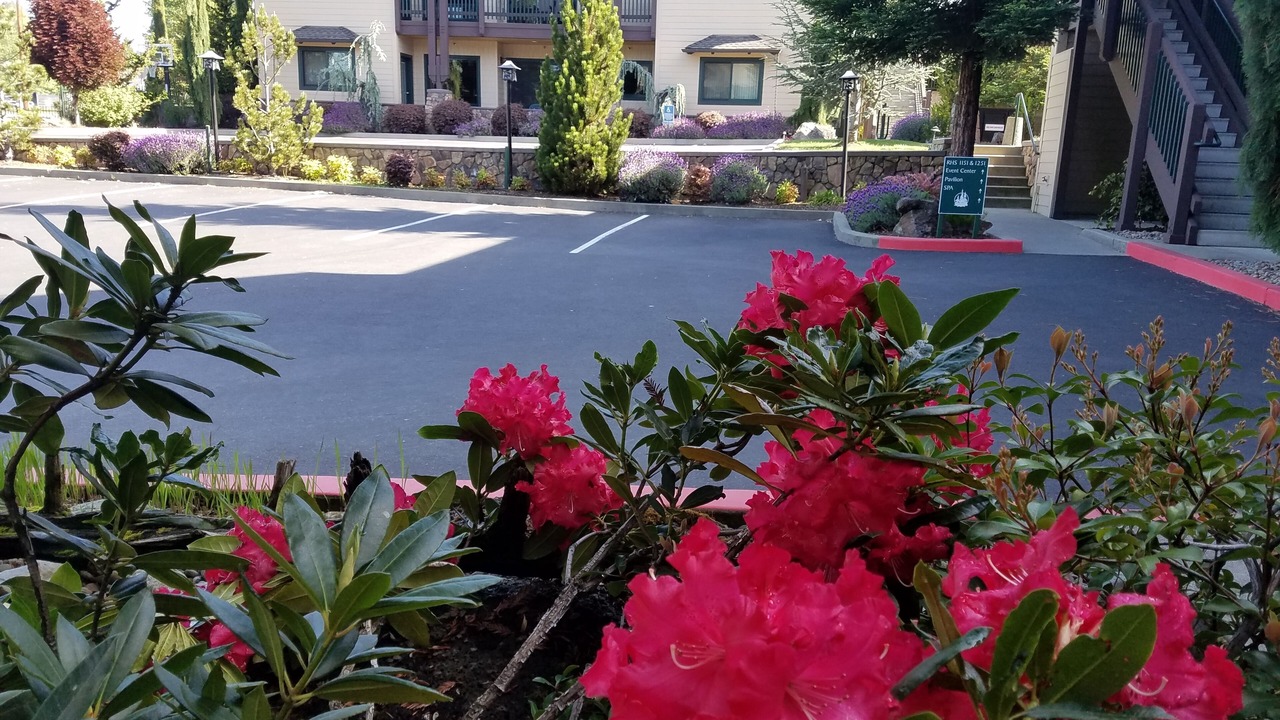 Photo of Outdoor in Grants Pass