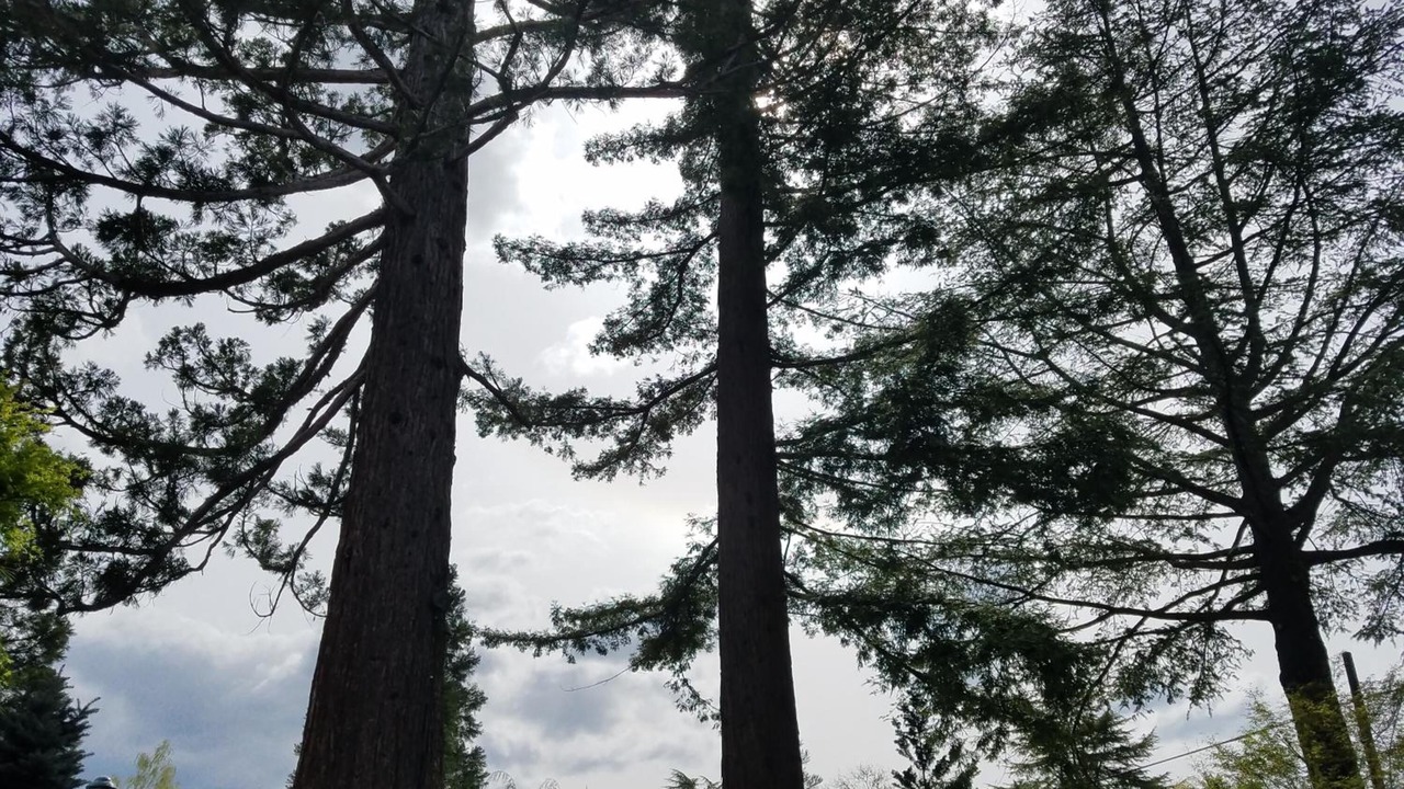 Photo of Outdoor in Grants Pass