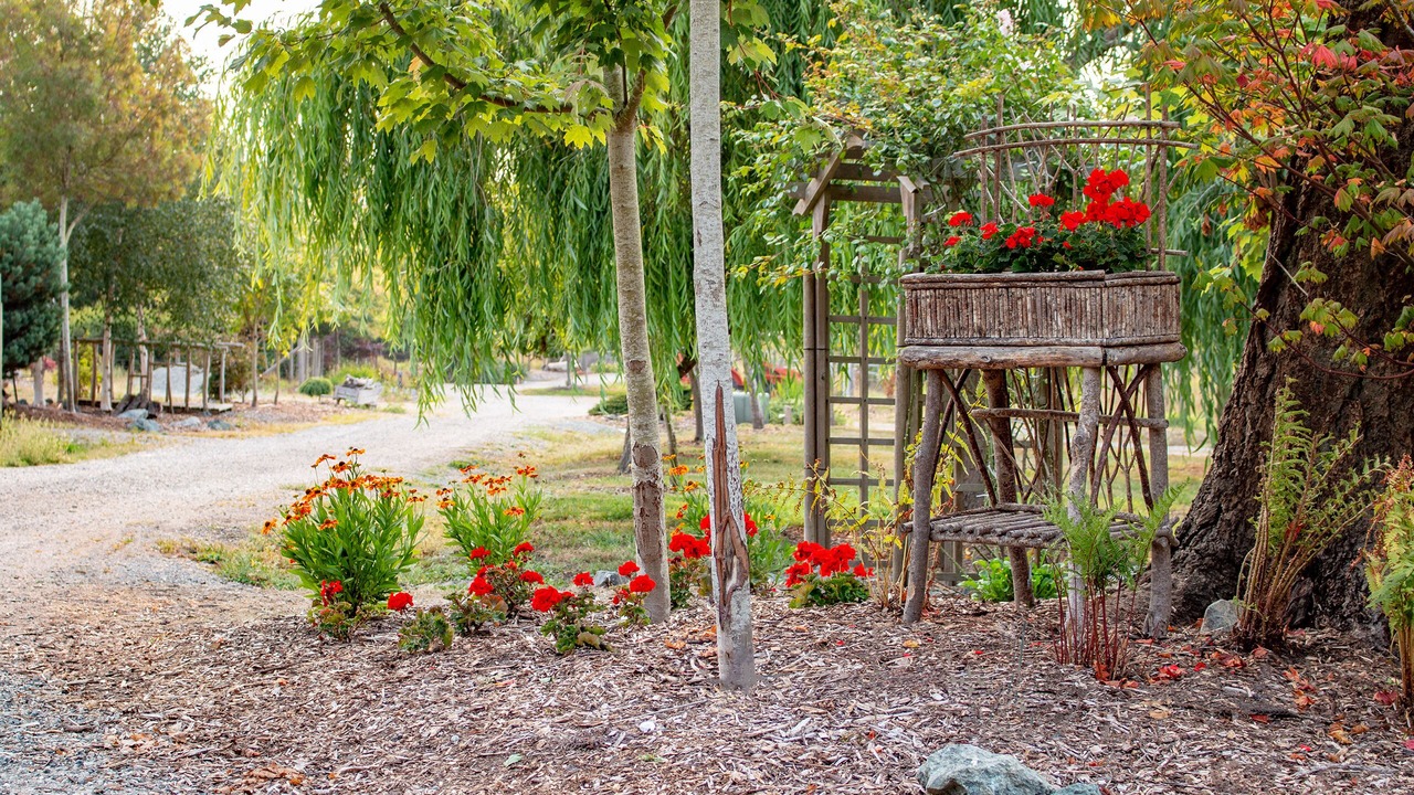 Photo of Outdoor in Oak Harbor