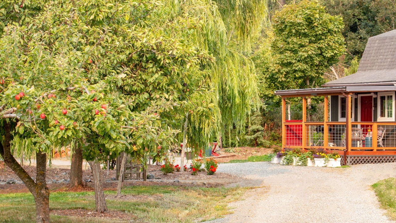 Photo of Outdoor in Oak Harbor