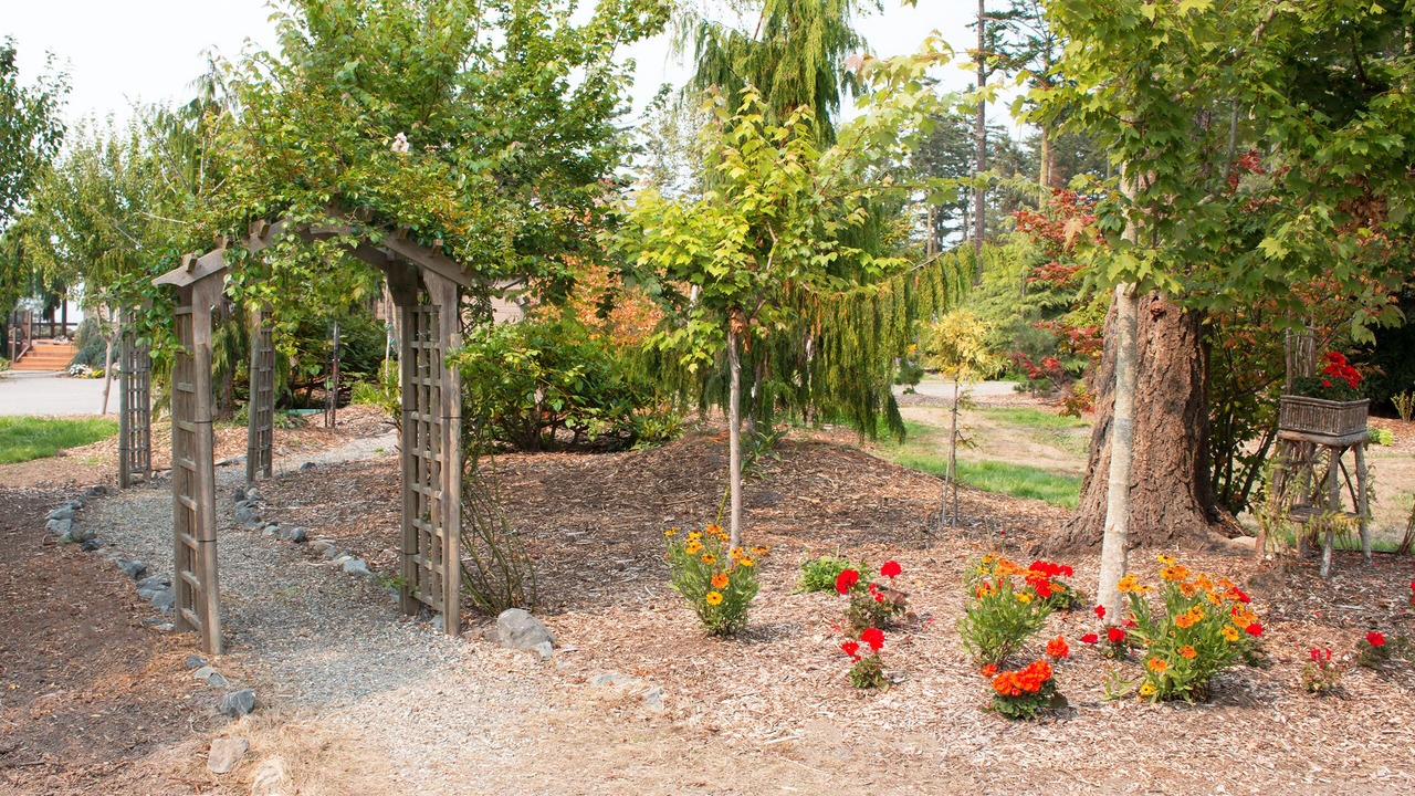 Photo of Outdoor in Oak Harbor