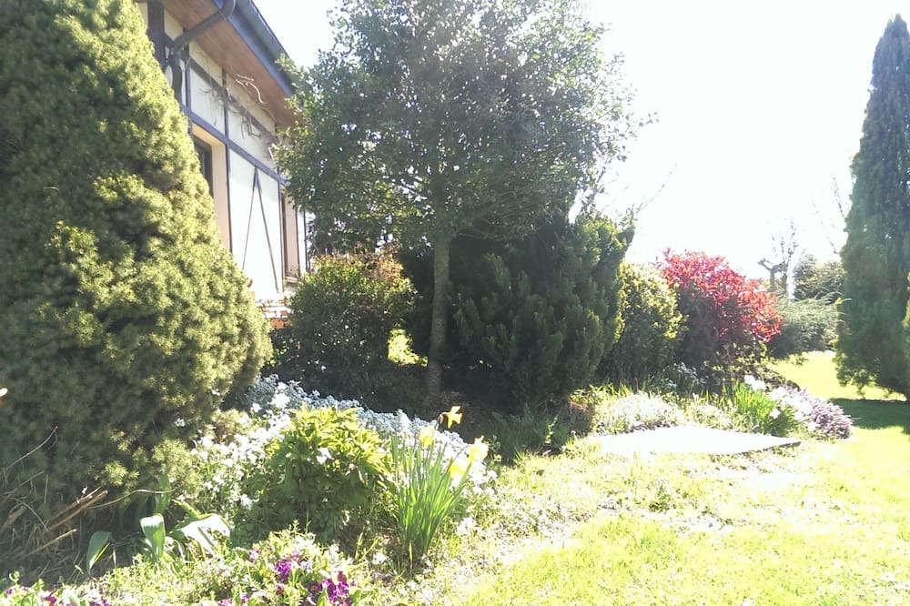 Photo of Outdoor in Legutiano