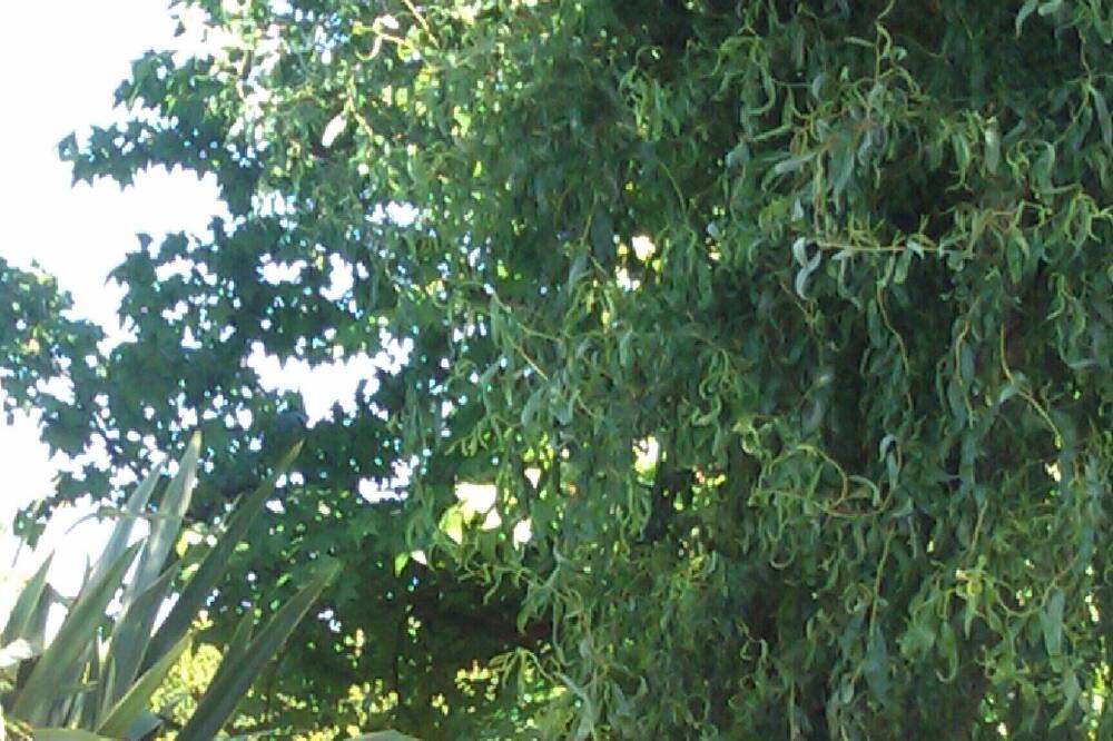 Photo of Outdoor in Legutiano