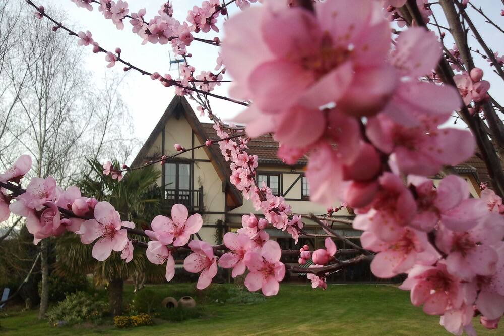 Photo of Outdoor in Legutiano
