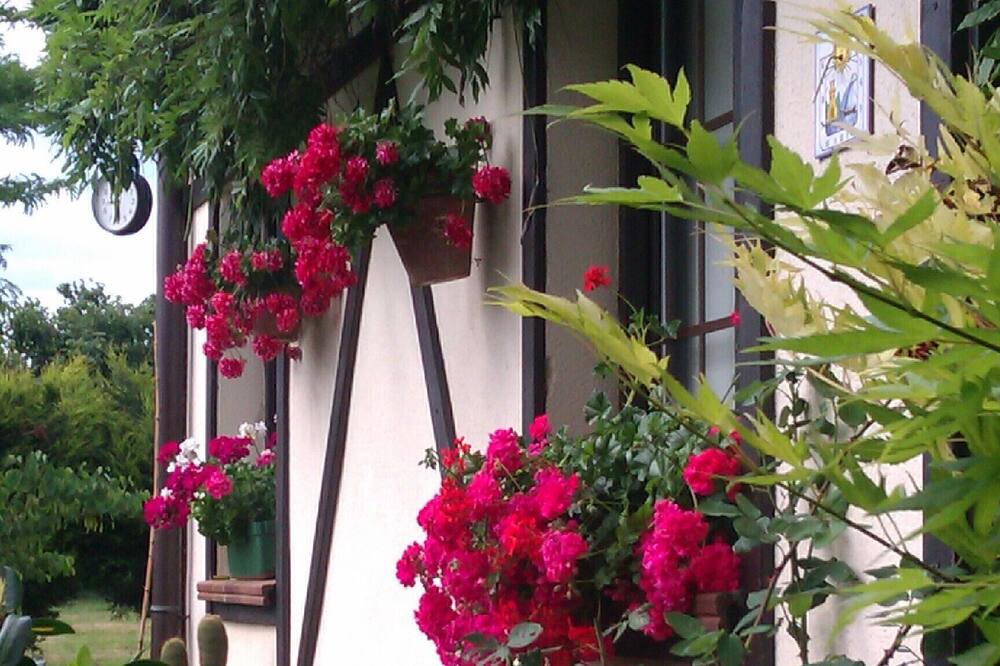 Photo of Outdoor in Legutiano