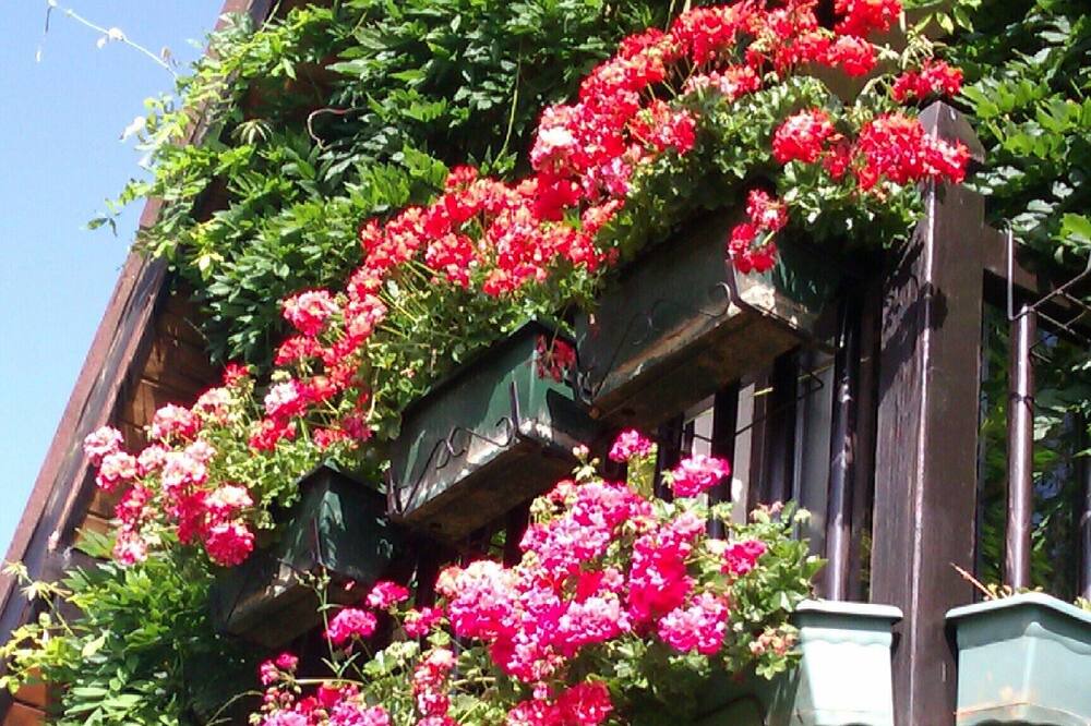 Photo of Outdoor in Legutiano