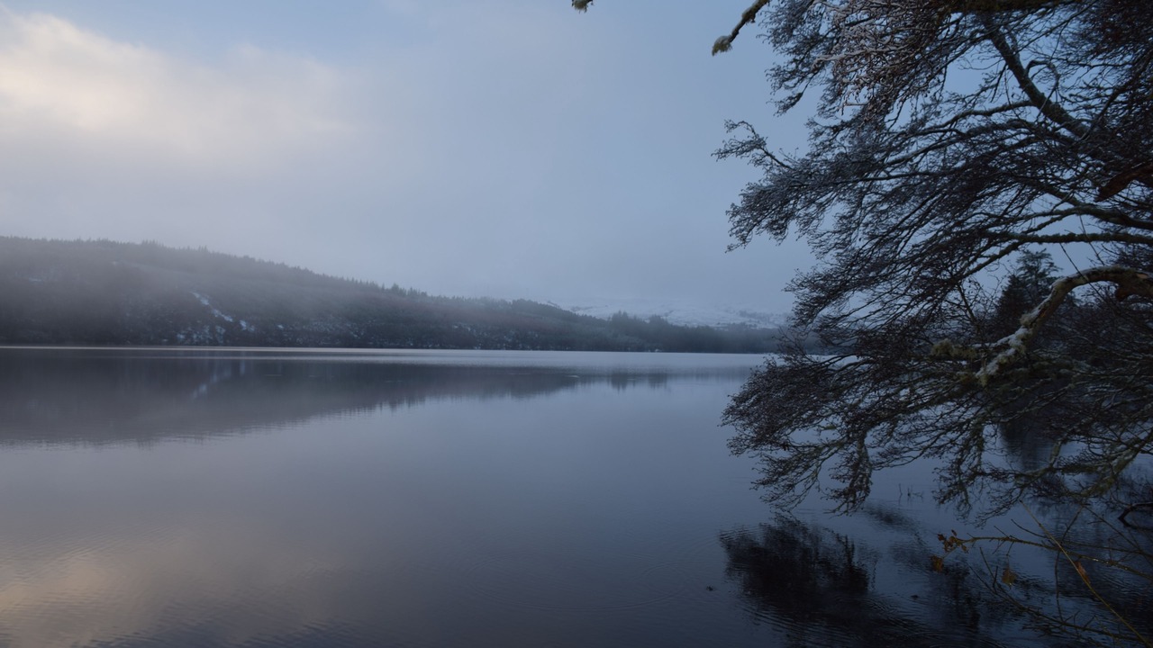 Photo of Others in Strathpeffer