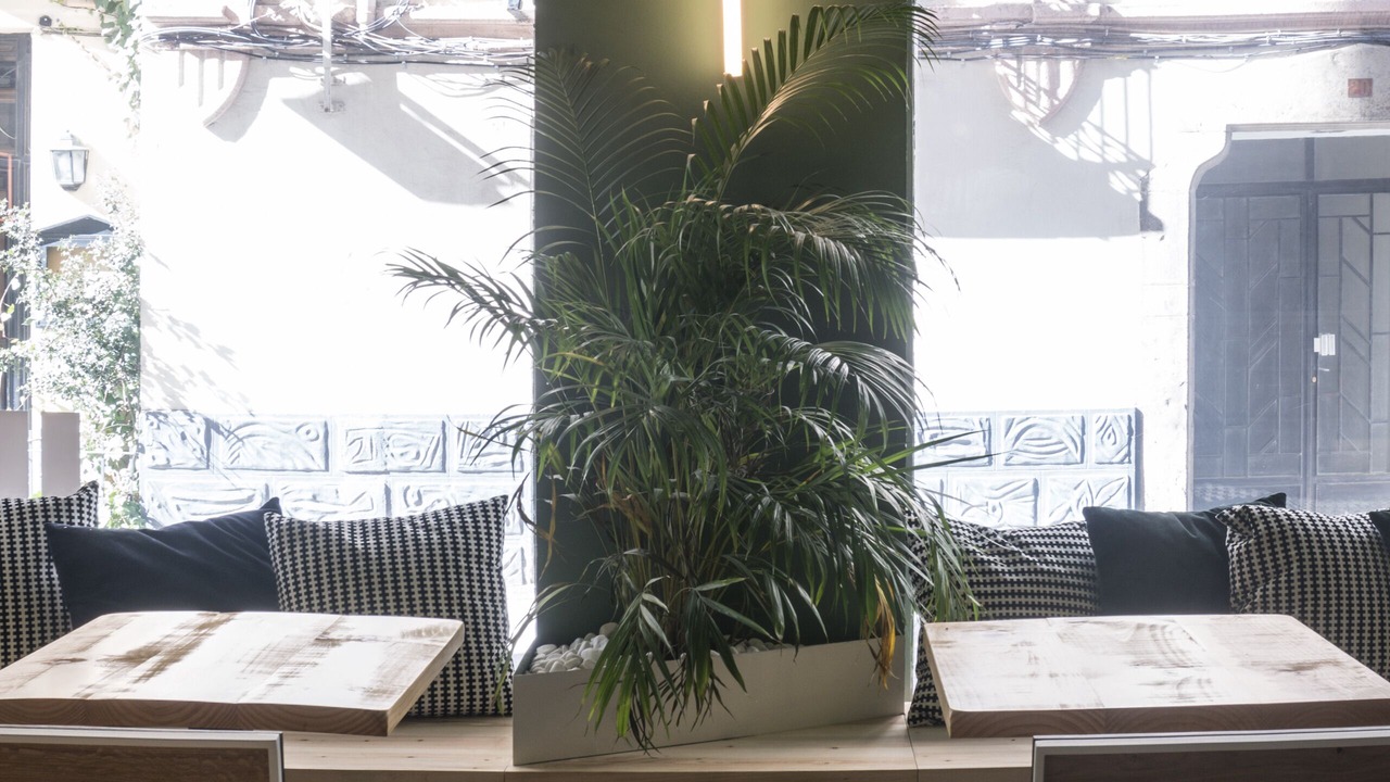 Photo of Others in Jaca