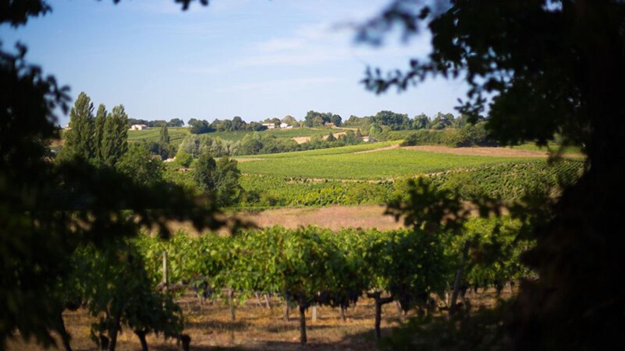 Photo of Outdoor in Villegouge