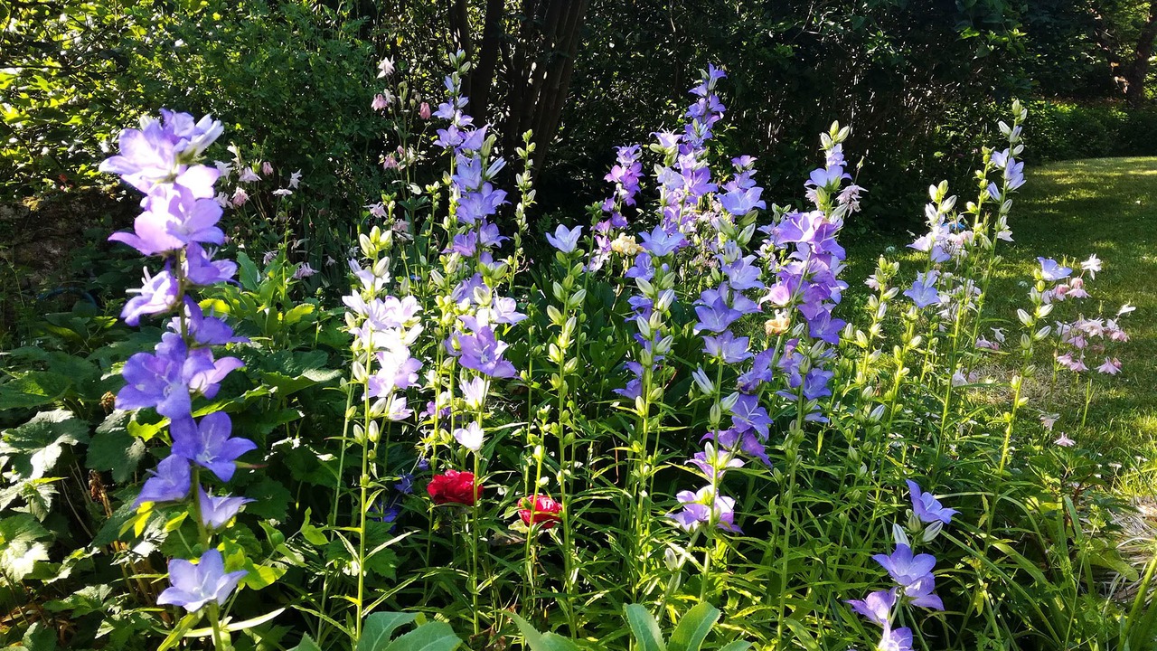 Photo of Outdoor in Villegouge