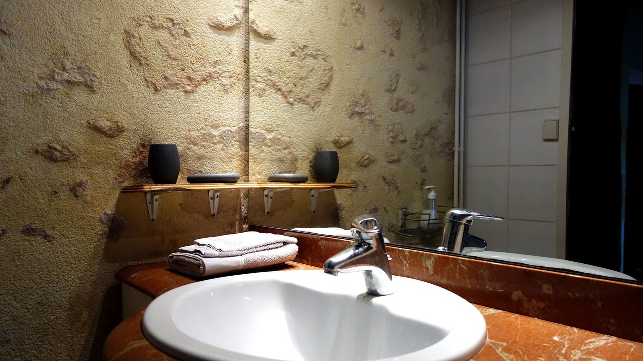 Photo of Bathroom in Villegouge