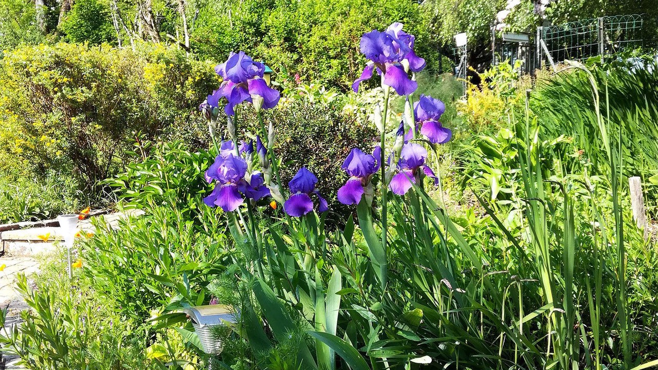 Photo of Outdoor in Villegouge