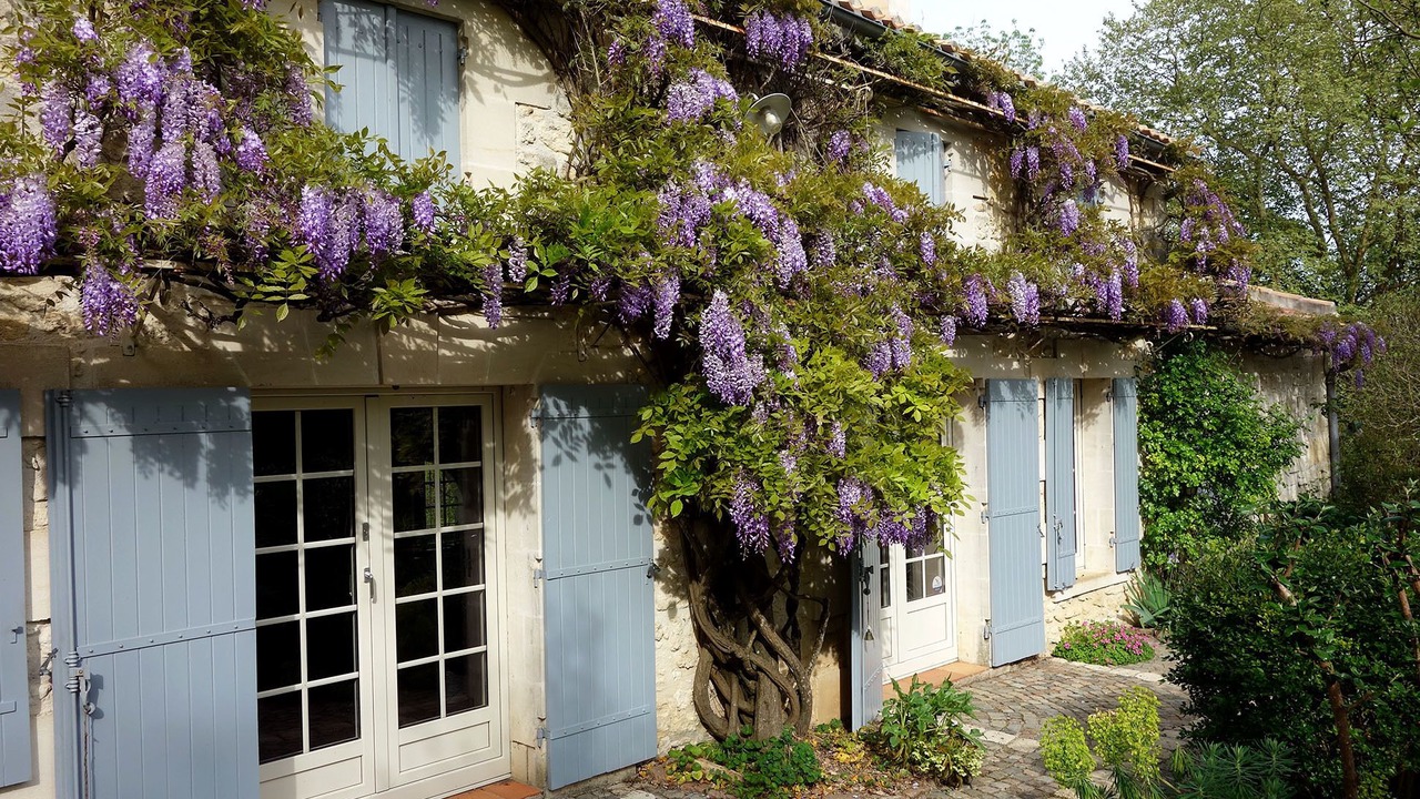 Photo of Outdoor in Villegouge