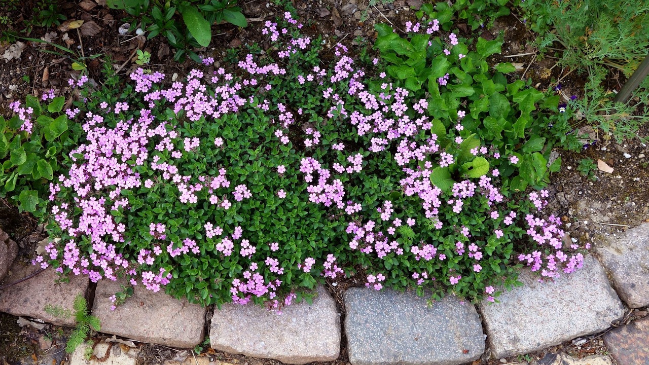 Photo of Outdoor in Villegouge