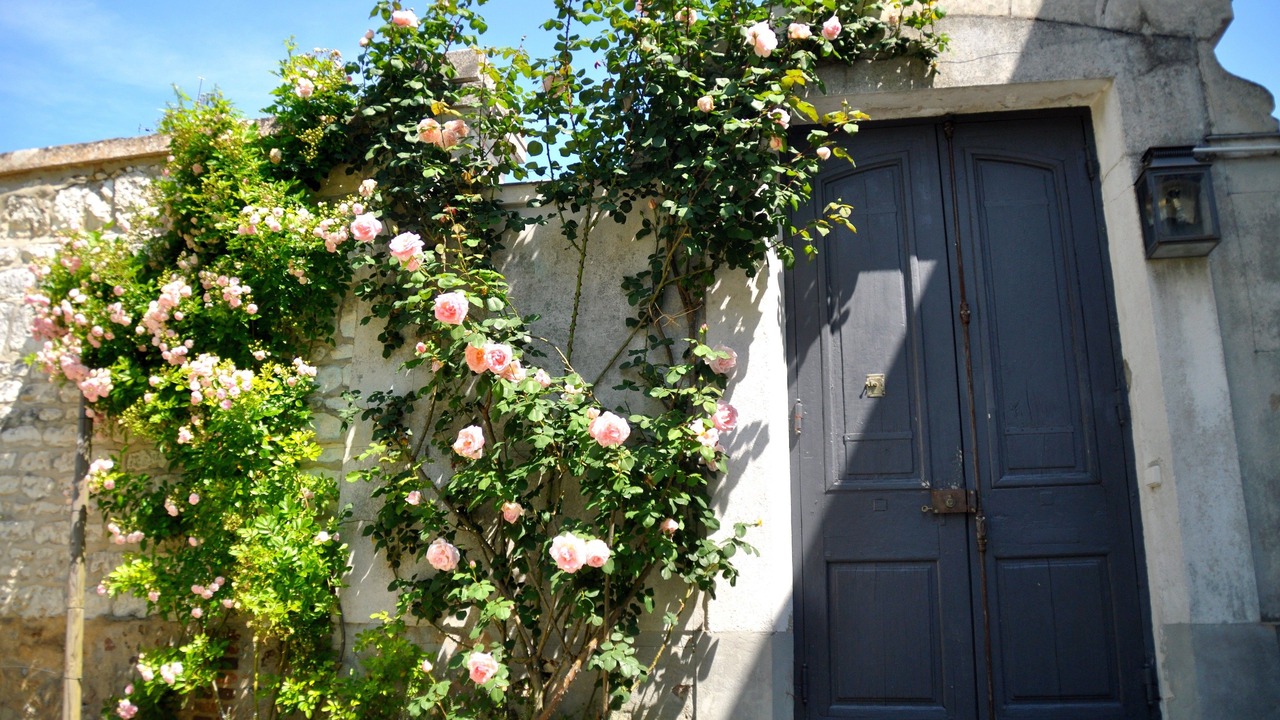 Photo of Outdoor in Joigny