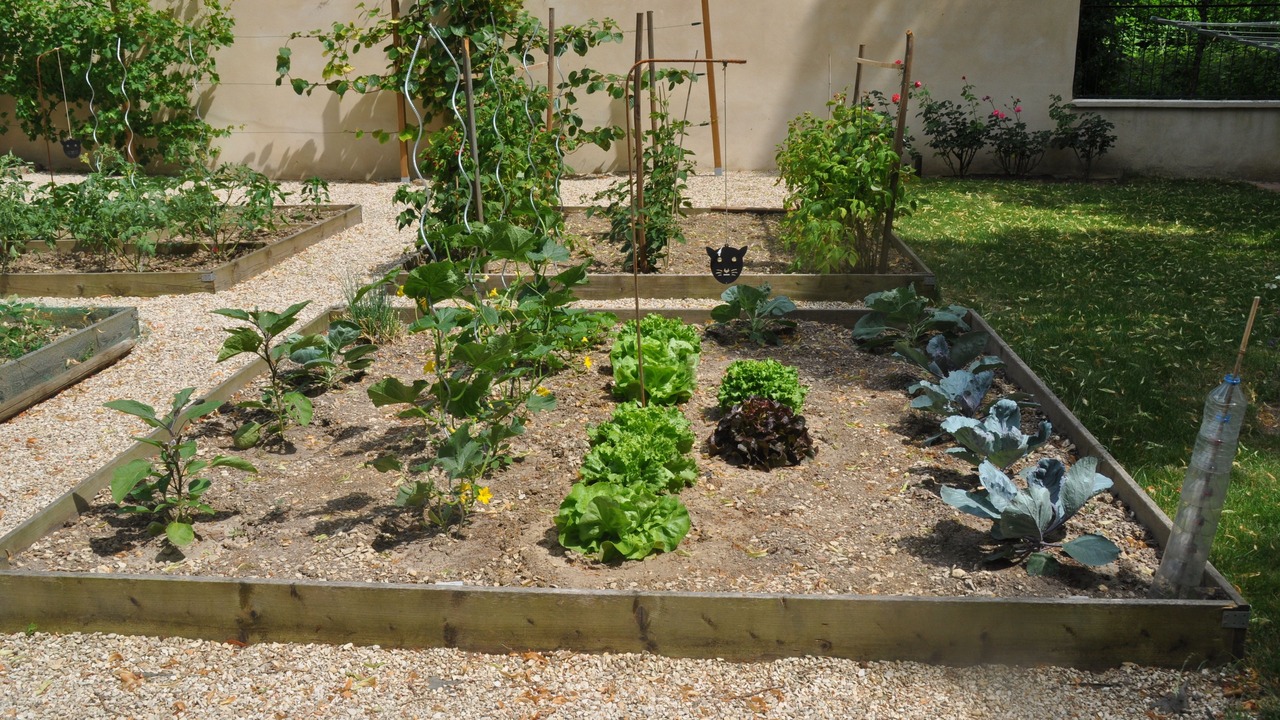 Photo of Outdoor in Joigny