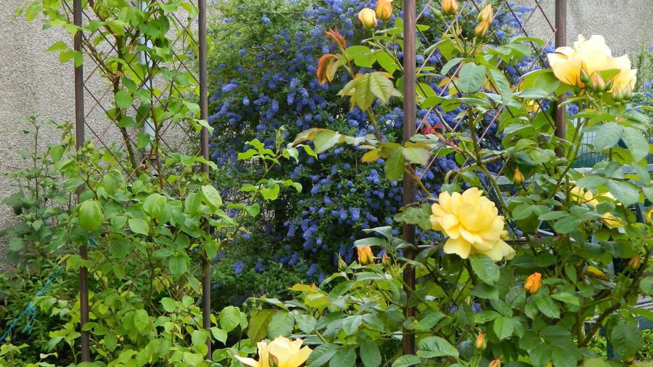 Photo of Outdoor in Cromarty