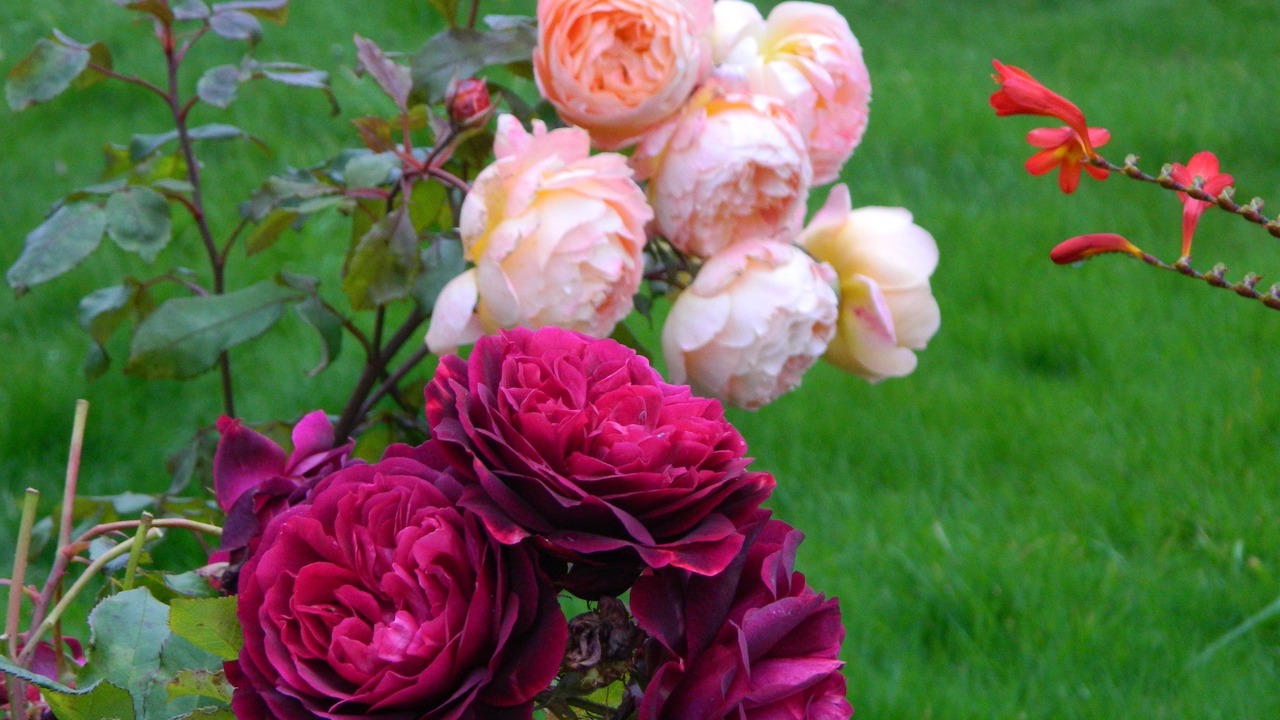 Photo of Outdoor in Cromarty