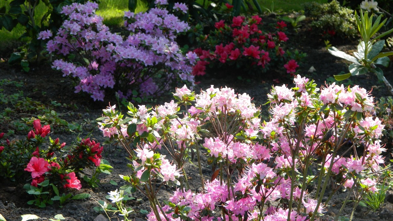 Photo of Outdoor in Cromarty