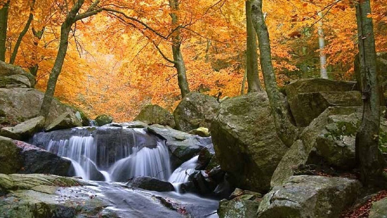 Photo of Outdoor in Arbucies