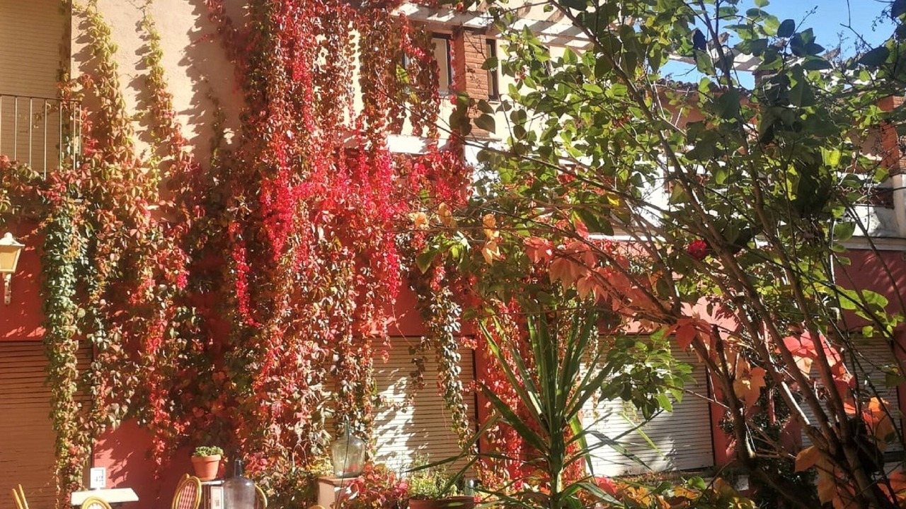 Photo of Outdoor in Arbucies
