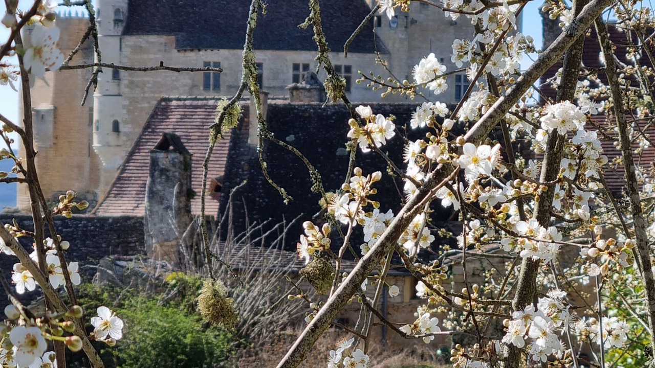 Photo of Others in Veyrines-de-Domme