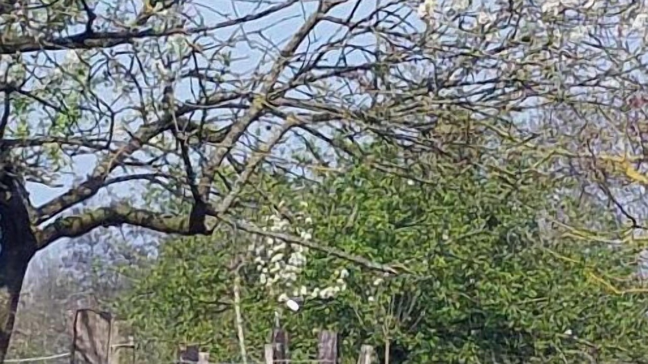 Photo of Outdoor in Saint-Amand-les-Eaux