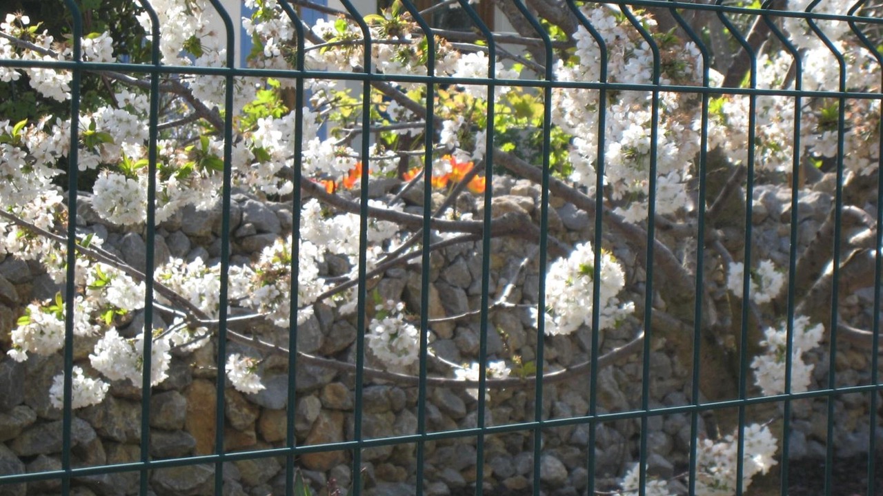 Photo of Others in Saint-Laurent-de-la-Cabrerisse