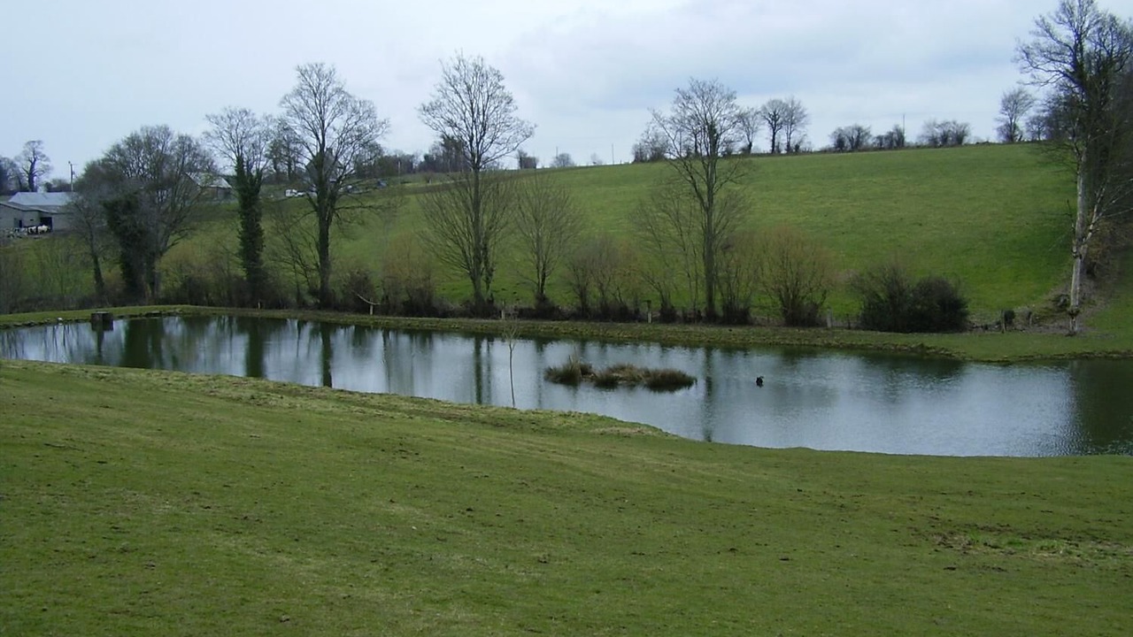 Photo of Outdoor in Courson