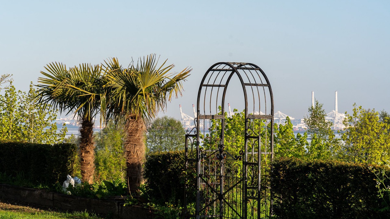 Photo of Others in Honfleur