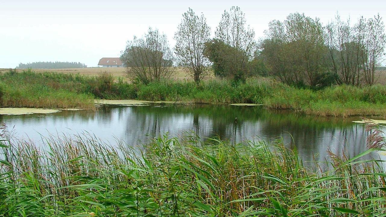 Photo of Outdoor in Østerskov