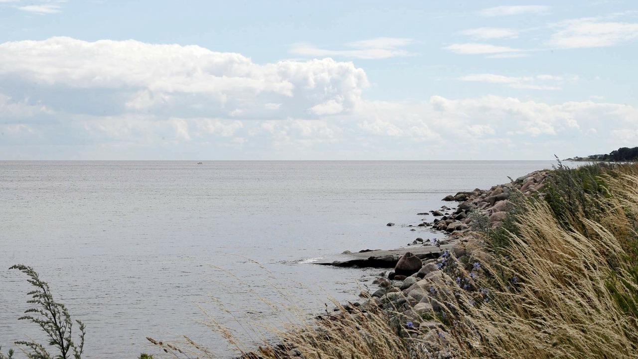 Photo of Others in Østerskov