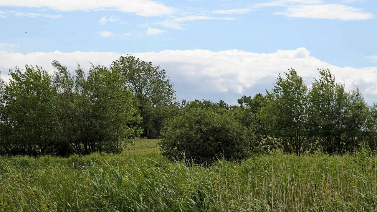 Photo of Outdoor in Østerskov